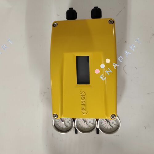 APIS-/2X/0/D00/RSt/T20/P3/M2/W1/A0