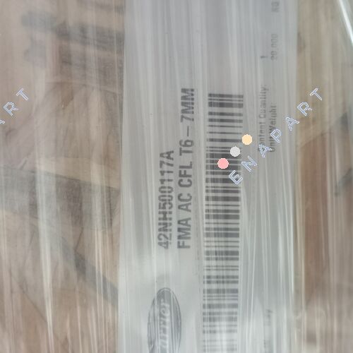 42NH500117A
