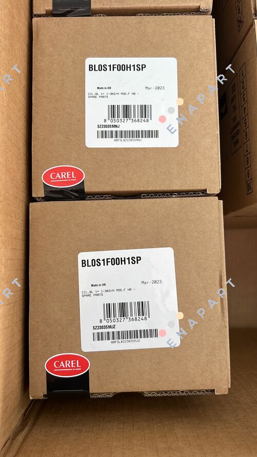 BL0S1F00H1SP cylindre