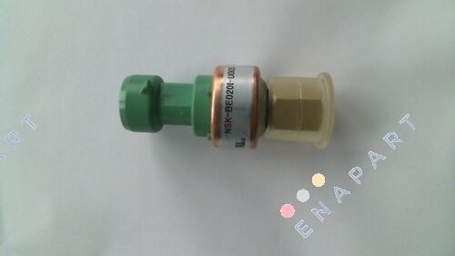 00PPG000030700A Transducteur