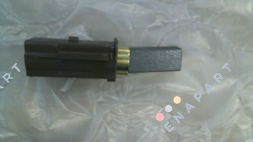 10005187 Brosse carbone