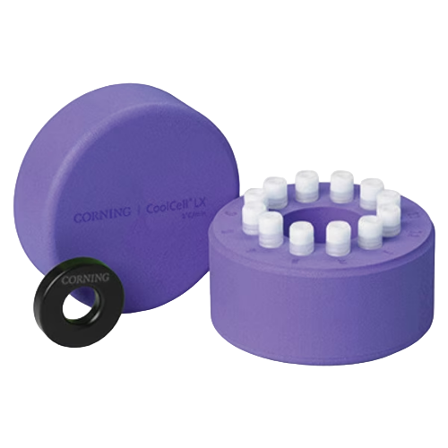 Cryo Storage