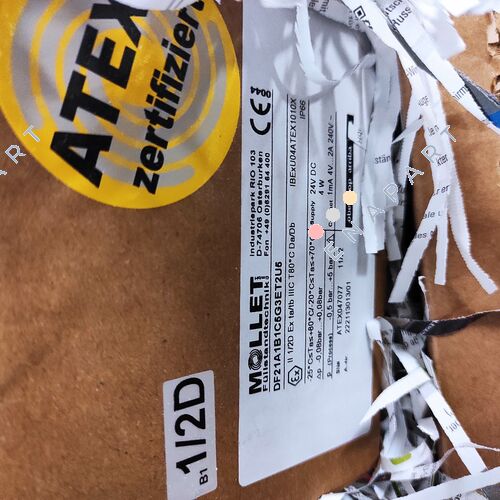 DF21A1B1C5G3ET2U5 Indicateur de niveau à voilure tournante MolosRoto