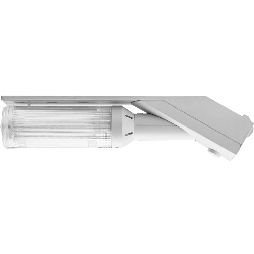 Fluorescent removable lamp with fixed lampholder