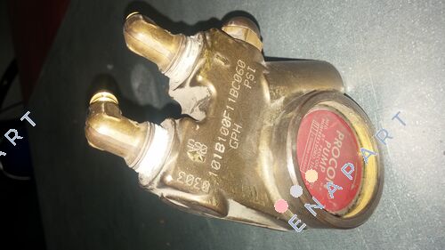 101B100F11BC060 pompe