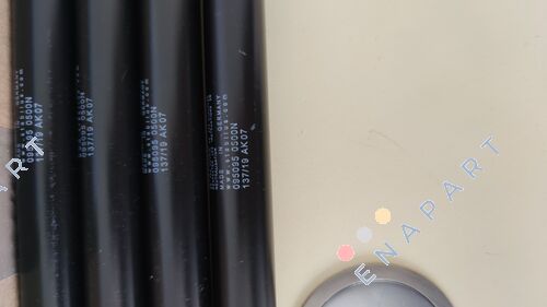 095095 vérin à gaz