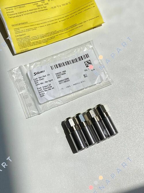 RBE03.1906 / R30319060 Raccord